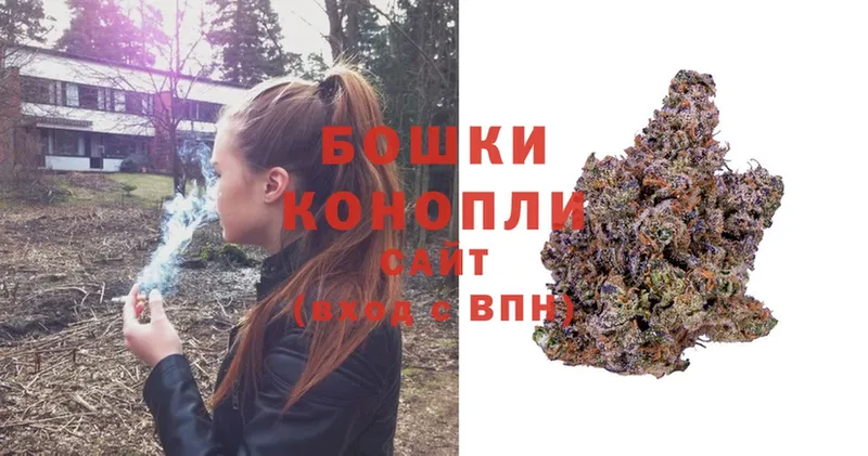 Шишки марихуана OG Kush  Покачи 